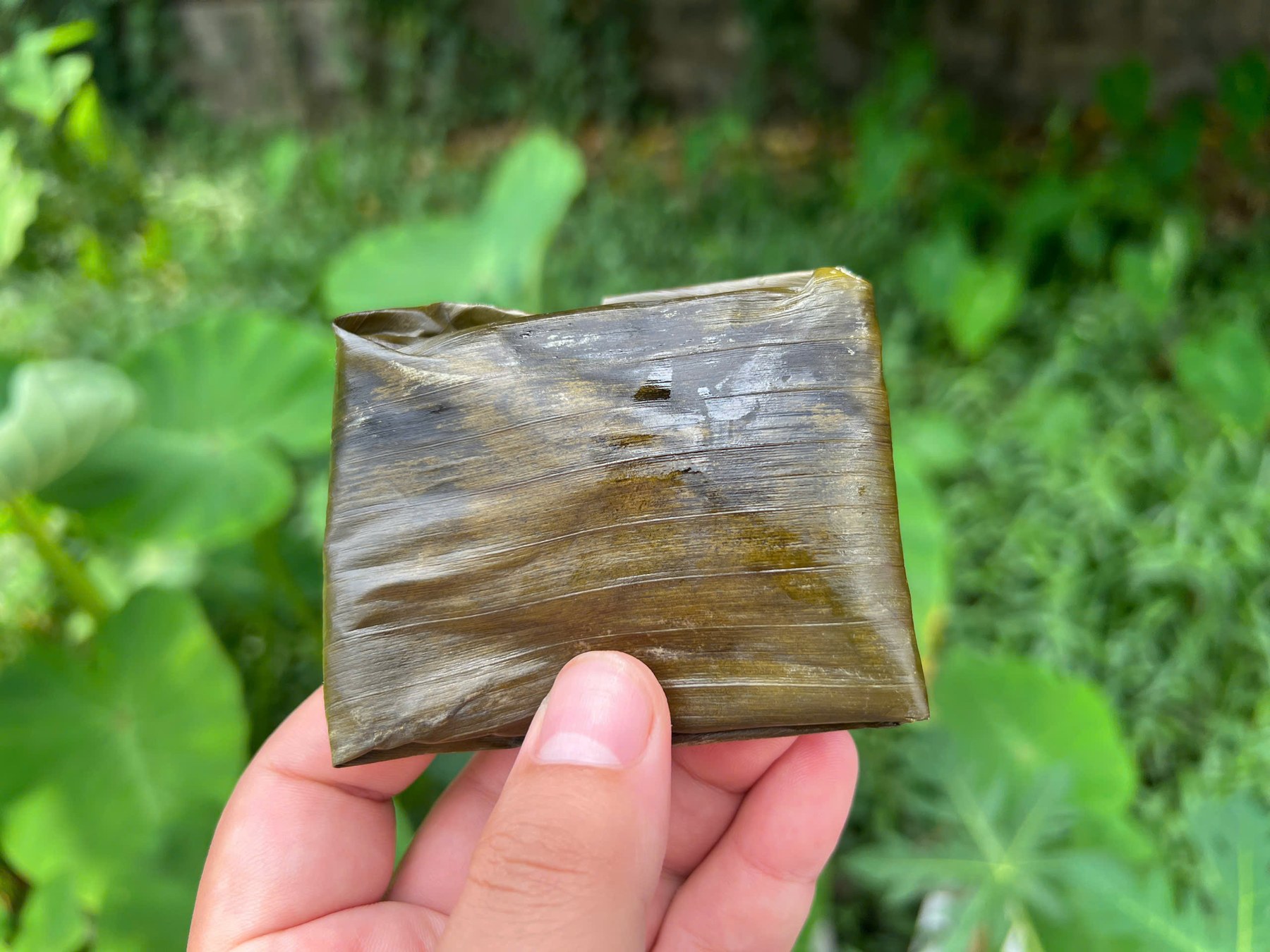 Bánh ít trắng tôm thịt